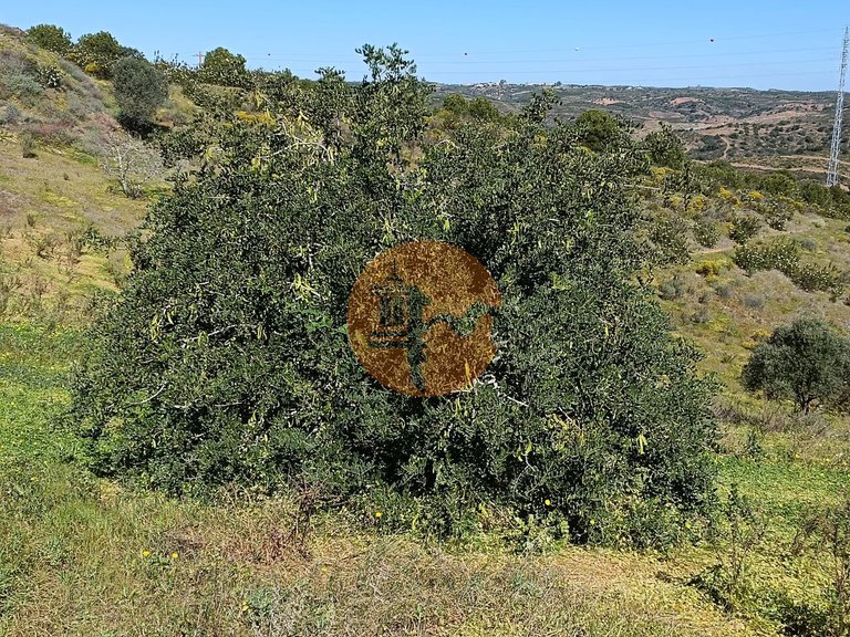 Plot for Sale in Castro Marim, Castro Marim, Portugal 15