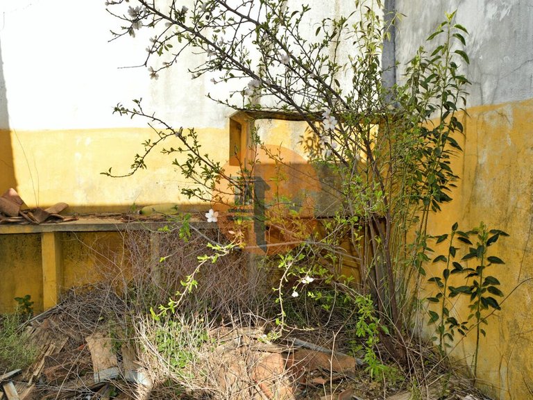 Plot for Sale in Conceição, Tavira, Portugal 9