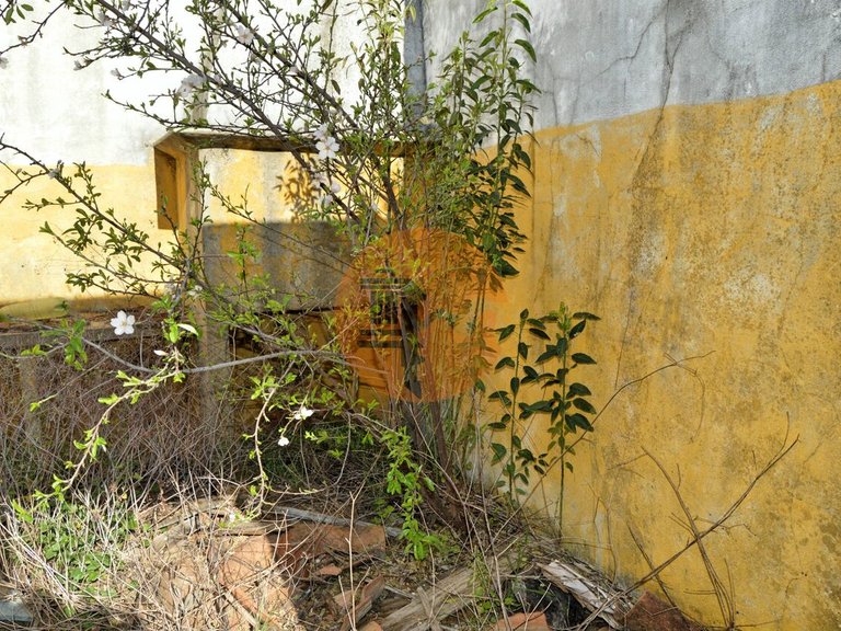 Plot for Sale in Conceição, Tavira, Portugal 10