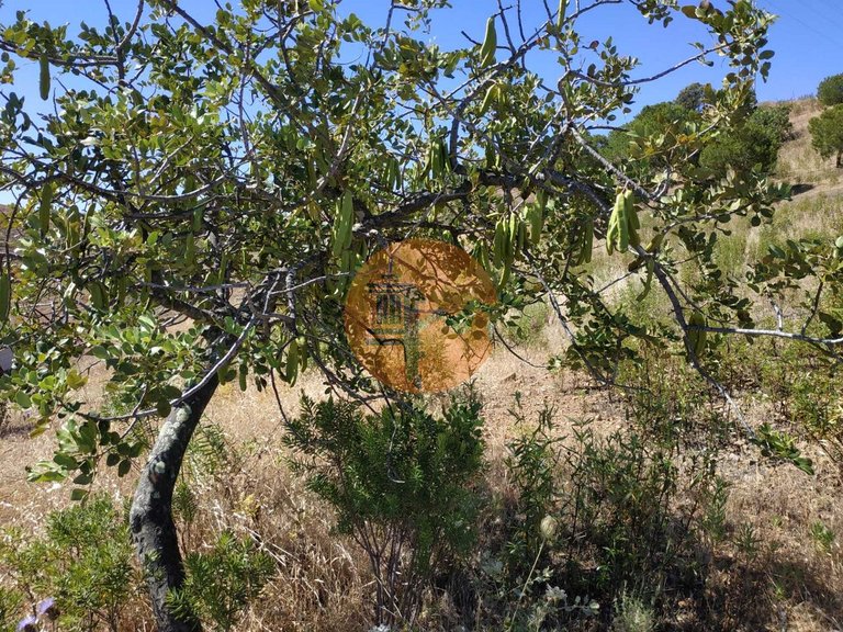 Plot for Sale in Castro Marim, Castro Marim, Portugal 20