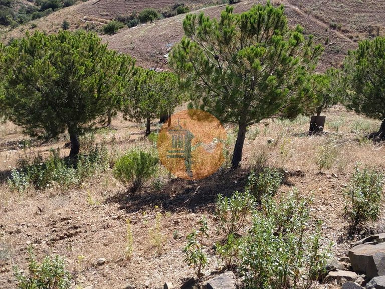 Plot for Sale in Castro Marim, Castro Marim, Portugal 24