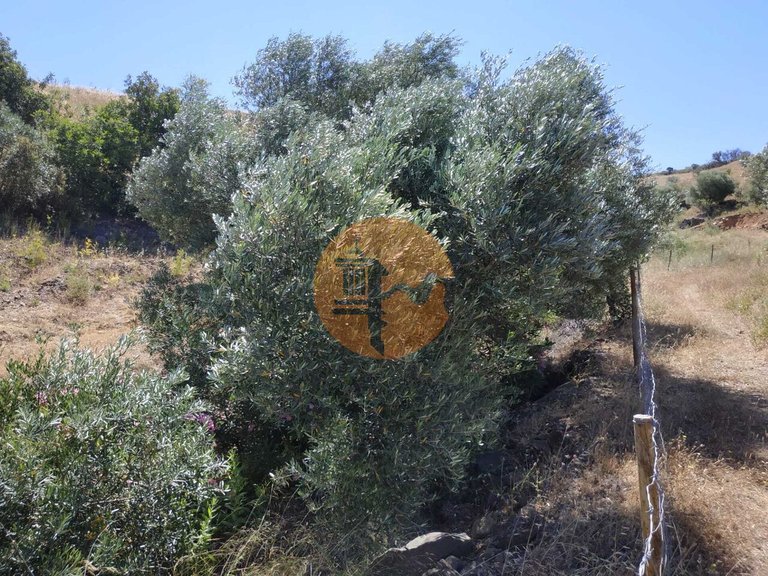 Plot for Sale in Castro Marim, Castro Marim, Portugal 30