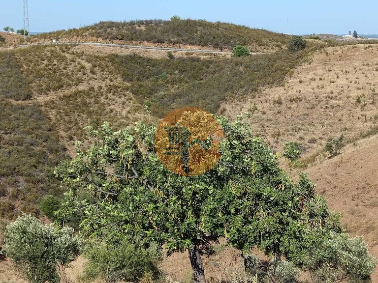 Plot for Sale in Castro Marim, Castro Marim, Portugal 44