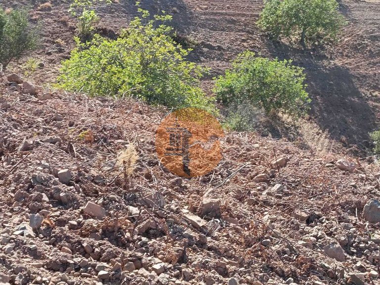 Plot for Sale in Castro Marim, Castro Marim, Portugal 47