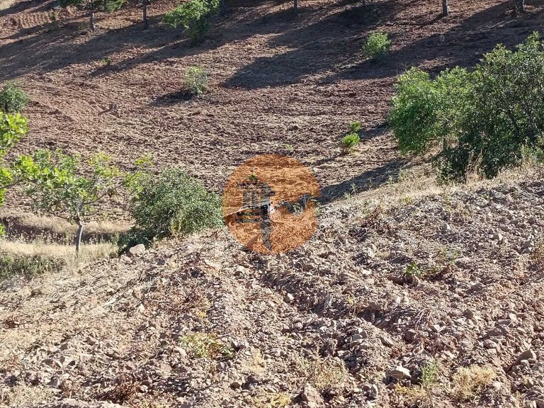 Plot for Sale in Castro Marim, Castro Marim, Portugal 49