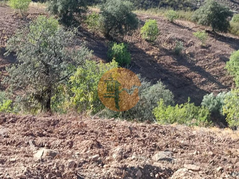 Plot for Sale in Castro Marim, Castro Marim, Portugal 50