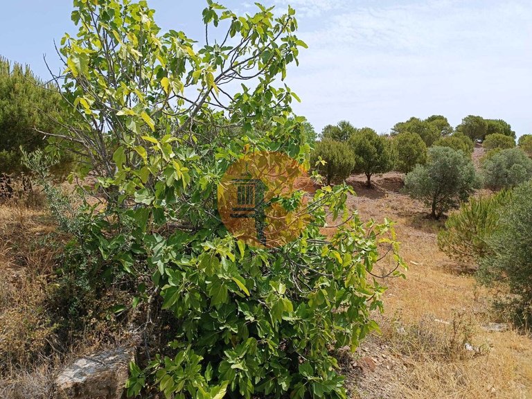 Plot for Sale in Castro Marim, Castro Marim, Portugal 6