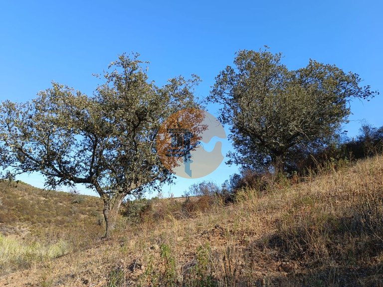 Plot for Sale in Azinhal, Castro Marim, Portugal 5
