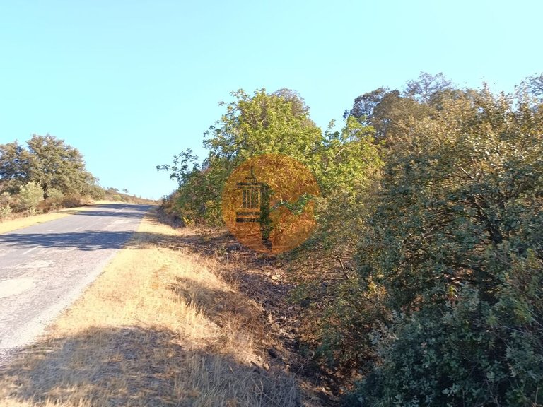 Plot for Sale in Azinhal, Castro Marim, Portugal 8