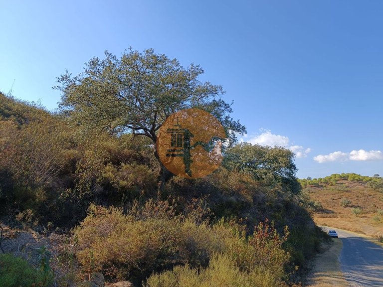 Plot for Sale in Azinhal, Castro Marim, Portugal 9