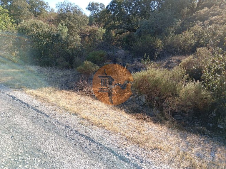 Plot for Sale in Azinhal, Castro Marim, Portugal 12
