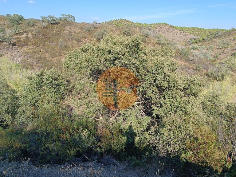 Plot for Sale in Azinhal, Castro Marim, Portugal 15