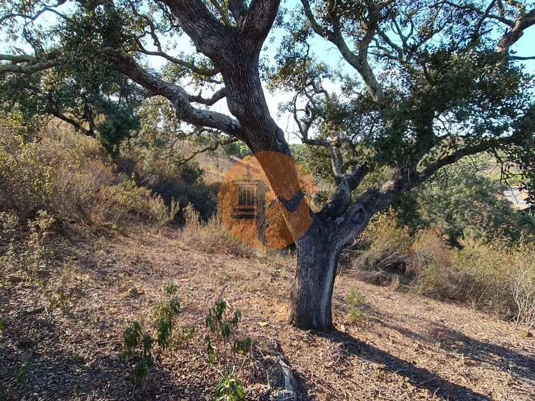 Plot for Sale in Azinhal, Castro Marim, Portugal 21
