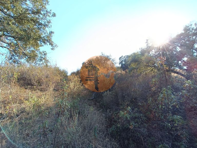 Plot for Sale in Azinhal, Castro Marim, Portugal 26