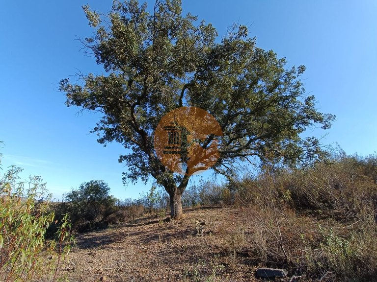 Plot for Sale in Azinhal, Castro Marim, Portugal 27