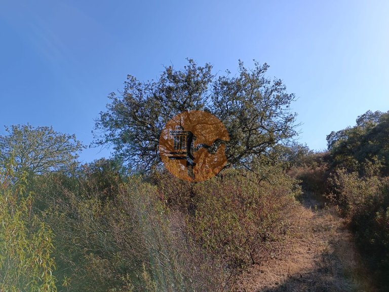 Plot for Sale in Azinhal, Castro Marim, Portugal 30