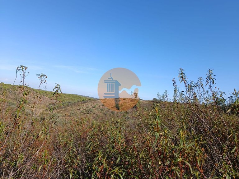 Plot for Sale in Azinhal, Castro Marim, Portugal 32