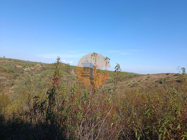 Plot for Sale in Azinhal, Castro Marim, Portugal 33