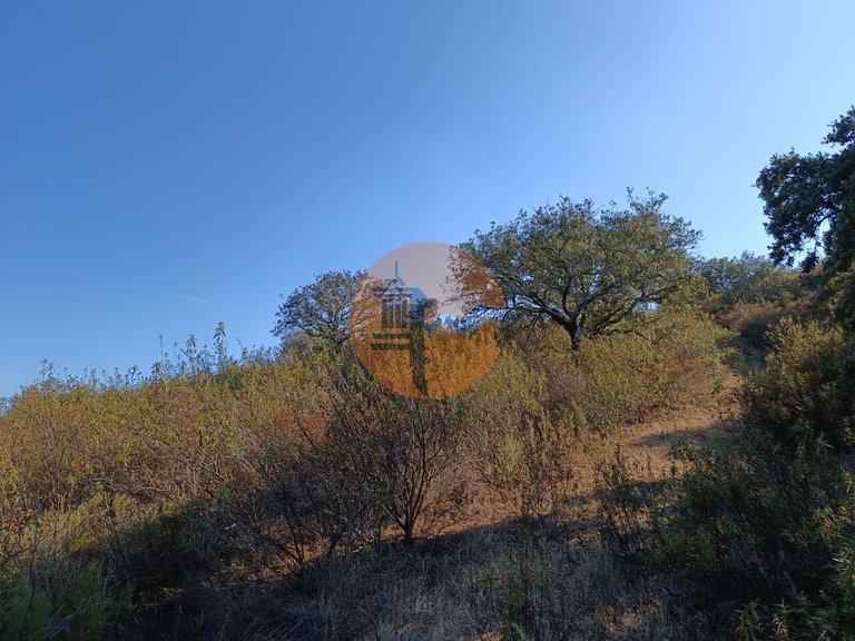 Plot for Sale in Azinhal, Castro Marim, Portugal 36