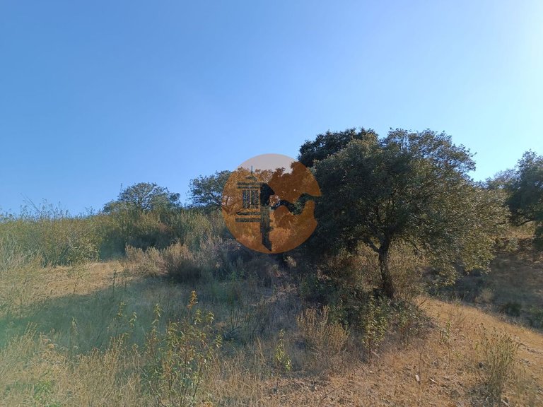 Plot for Sale in Azinhal, Castro Marim, Portugal 37