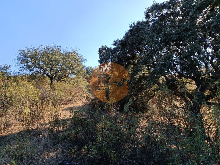 Plot for Sale in Azinhal, Castro Marim, Portugal 38