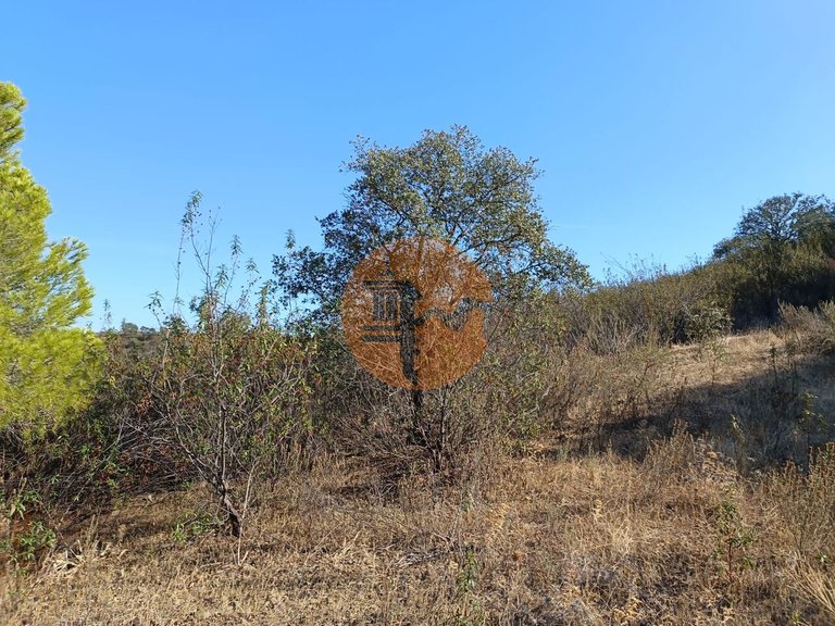 Plot for Sale in Azinhal, Castro Marim, Portugal 40