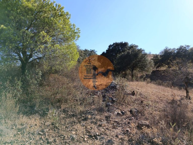 Plot for Sale in Azinhal, Castro Marim, Portugal 45