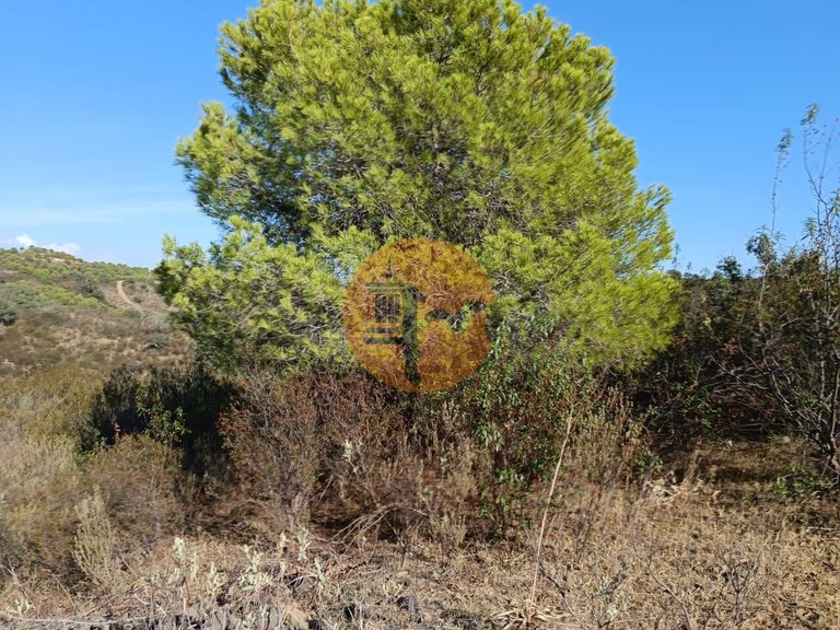 Plot for Sale in Azinhal, Castro Marim, Portugal 47