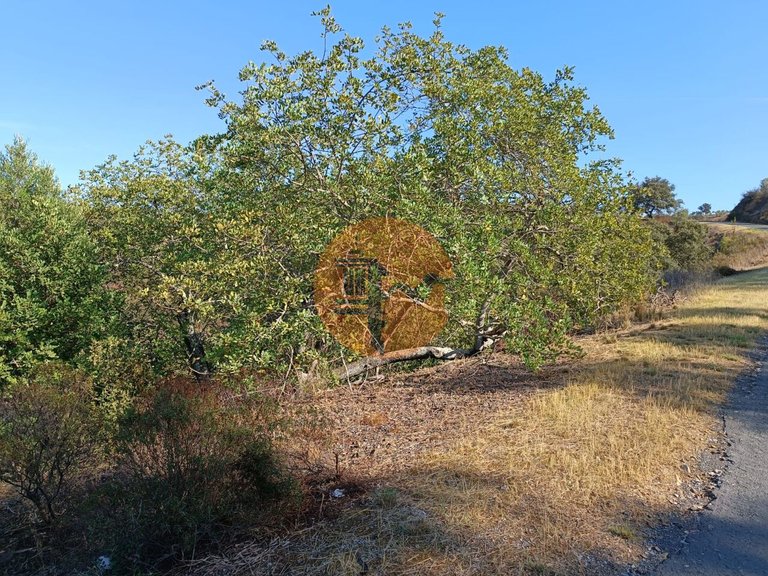 Plot for Sale in Azinhal, Castro Marim, Portugal 48