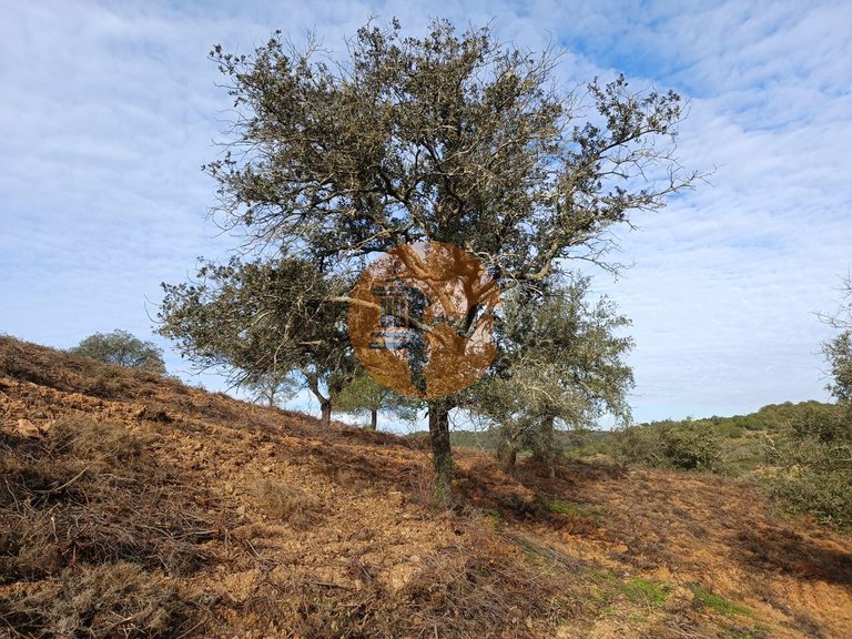 Plot for Sale in Azinhal, Castro Marim, Portugal 2