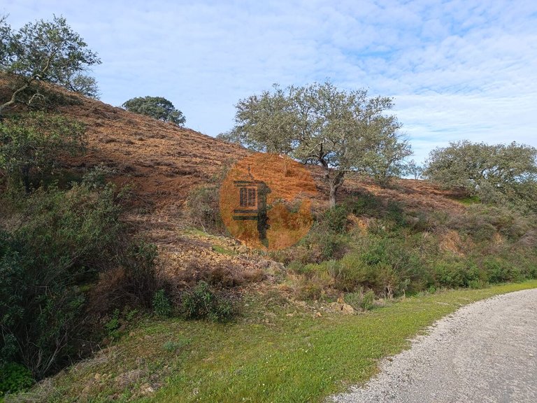 Plot for Sale in Azinhal, Castro Marim, Portugal 7