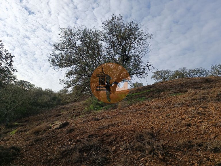 Plot for Sale in Azinhal, Castro Marim, Portugal 44