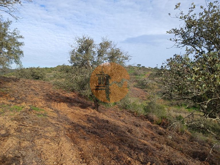 Plot for Sale in Azinhal, Castro Marim, Portugal 6