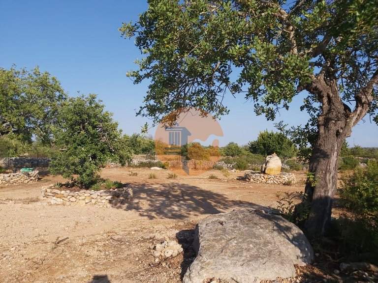 Plot for Sale in Santa Catarina Da Fonte Do Bispo, Tavira, Portugal 6
