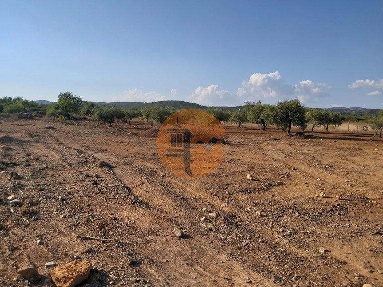 Plot for Sale in Santa Catarina Da Fonte Do Bispo, Tavira, Portugal 12