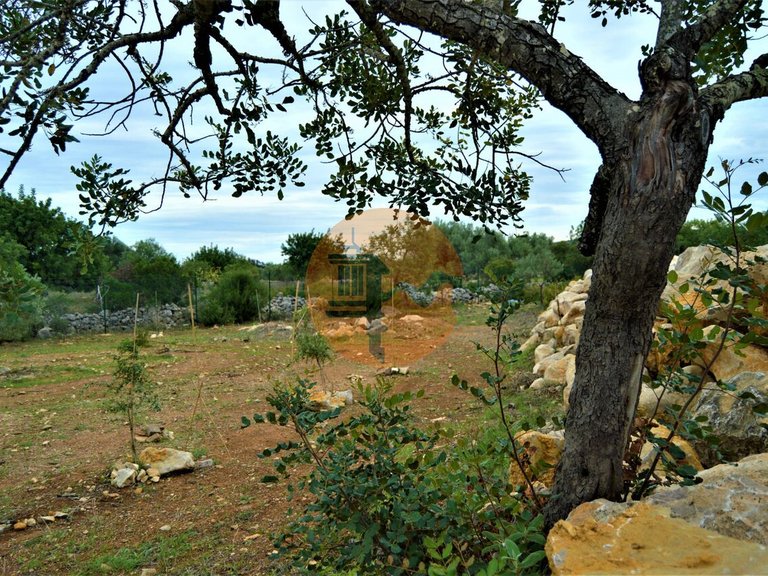 Plot for Sale in Santa Catarina Da Fonte Do Bispo, Tavira, Portugal 14