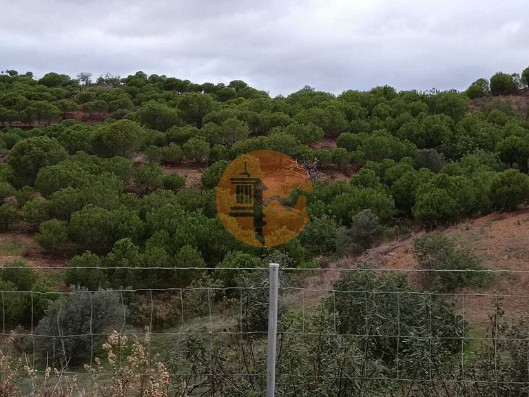 Plot for Sale in Azinhal, Castro Marim, Portugal 10