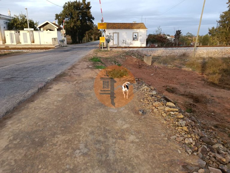 Plot for Sale in Castro Marim, Castro Marim, Portugal 6