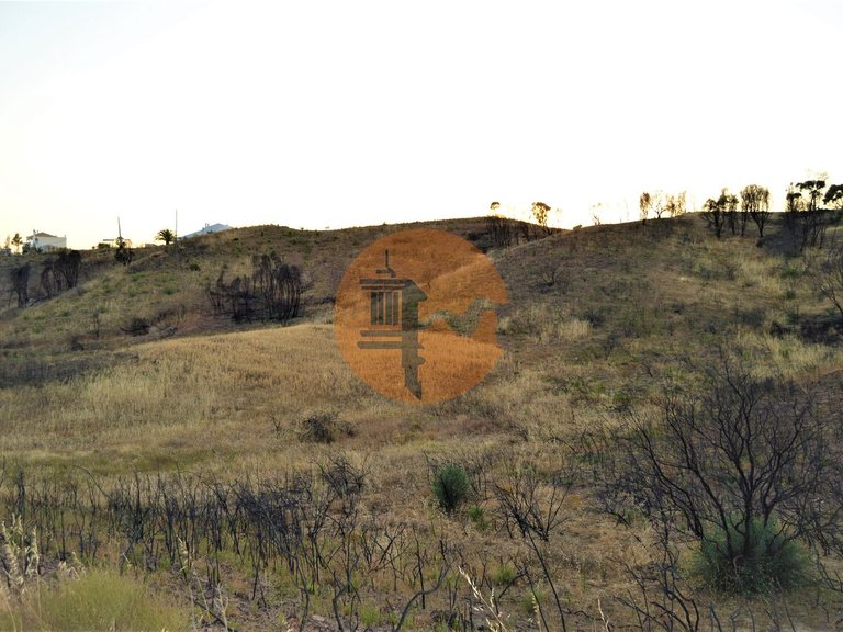 Plot for Sale in Conceição, Tavira, Portugal 5
