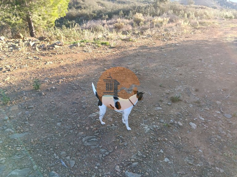 Plot for Sale in Castro Marim, Castro Marim, Portugal 21