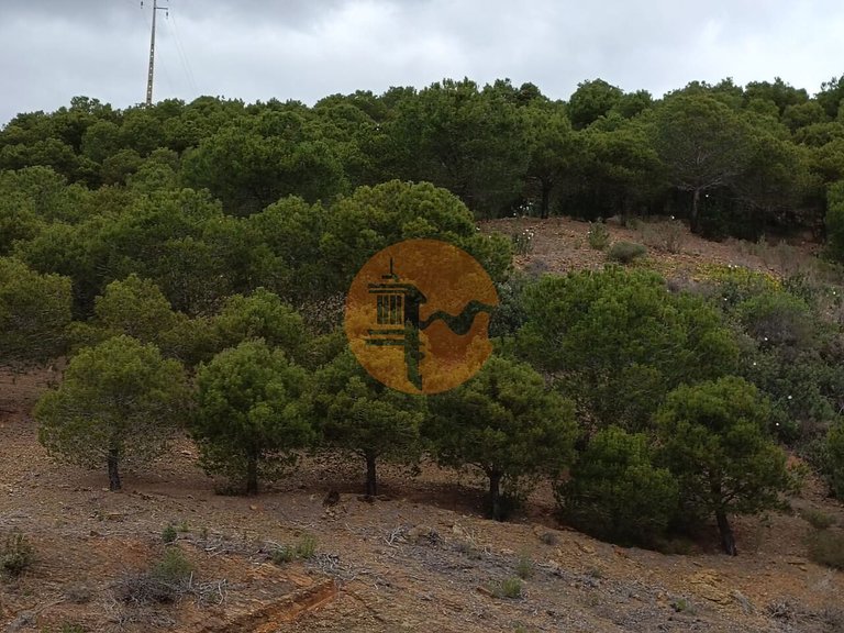 Plot for Sale in Azinhal, Castro Marim, Portugal 6