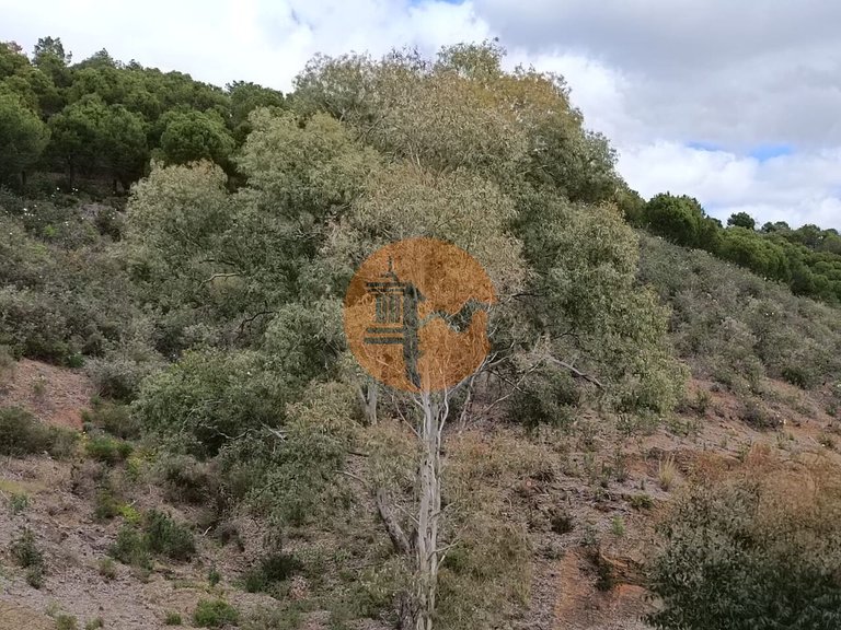 Plot for Sale in Azinhal, Castro Marim, Portugal 15