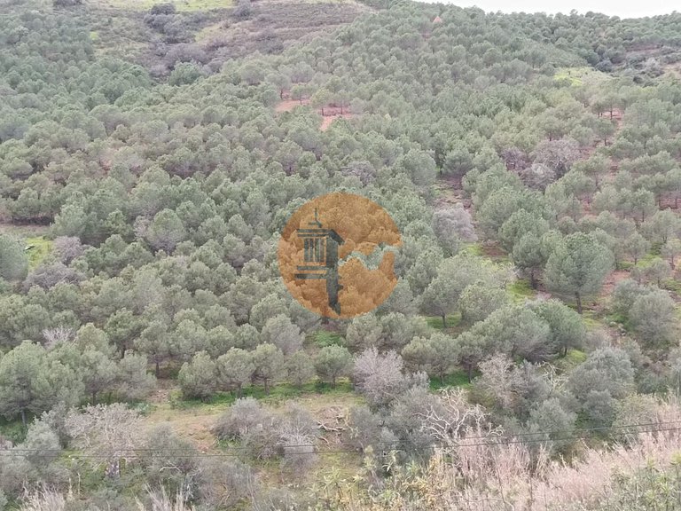 Plot for Sale in Azinhal, Castro Marim, Portugal 4