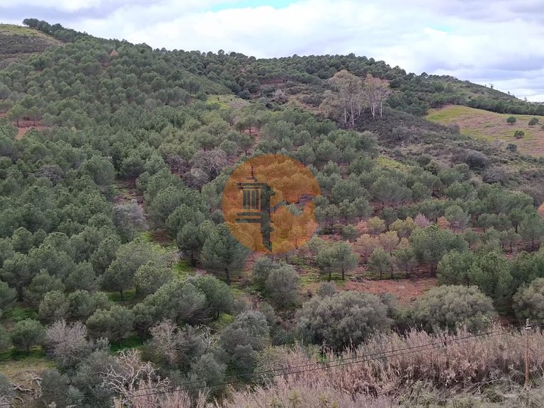 Plot for Sale in Azinhal, Castro Marim, Portugal 18