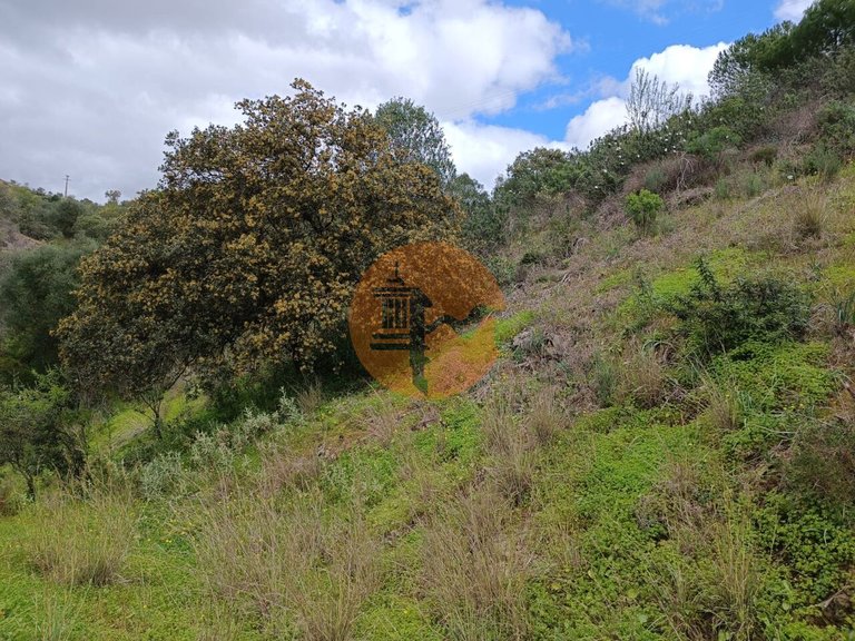 Plot for Sale in Azinhal, Castro Marim, Portugal 19