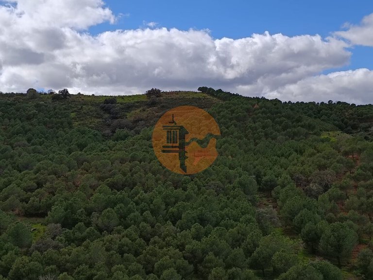 Plot for Sale in Azinhal, Castro Marim, Portugal 22