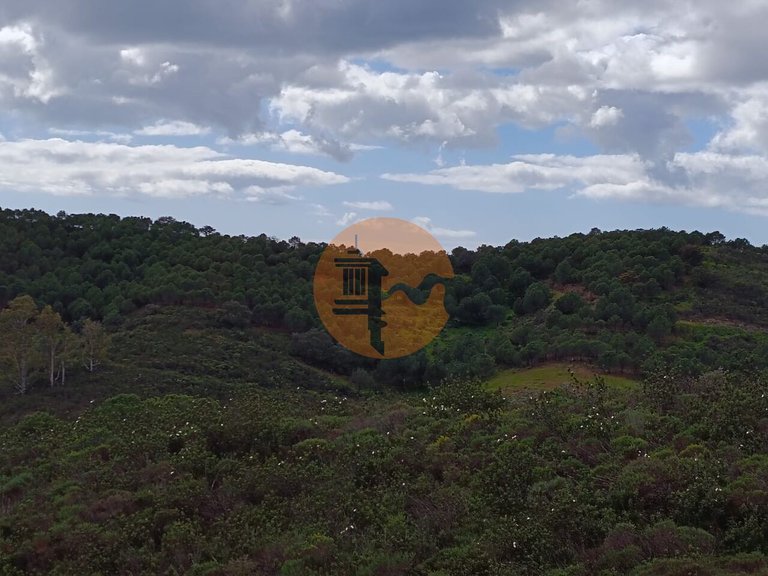 Plot for Sale in Azinhal, Castro Marim, Portugal 29