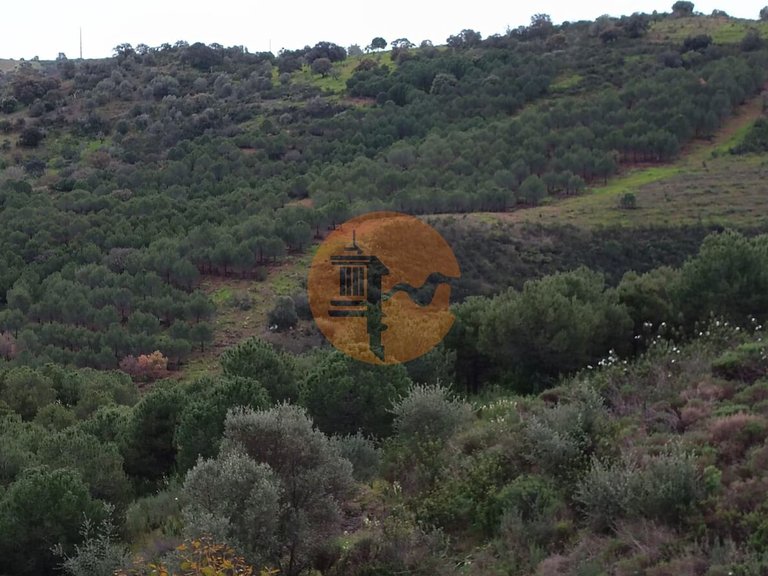 Plot for Sale in Azinhal, Castro Marim, Portugal 30