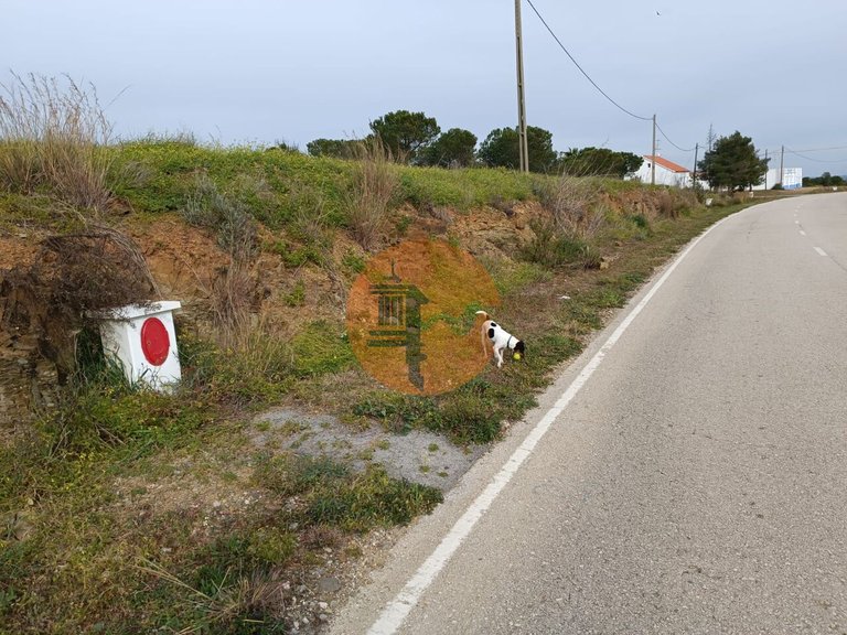 Plot for Sale in Azinhal, Castro Marim, Portugal 3