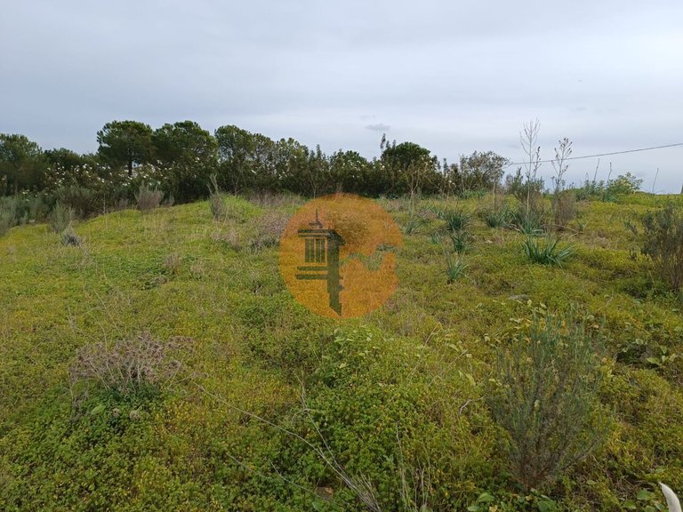 Plot for Sale in Azinhal, Castro Marim, Portugal 17